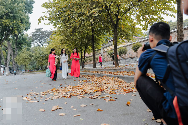17 ngày nữa là hết năm, người Hà Nội ngỡ ngàng bắt gặp hoa ban trái mùa khoe sắc trong giá rét